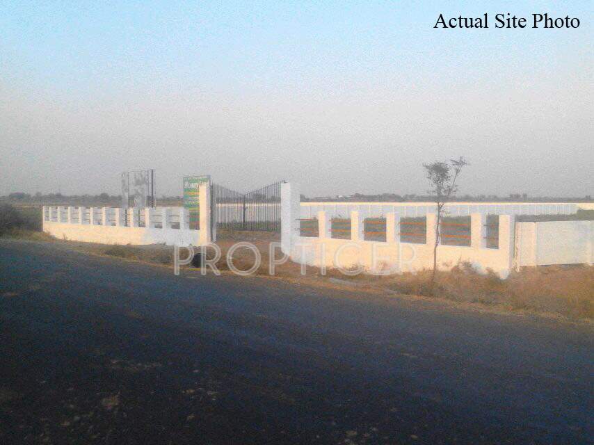 Images for Main Other of Honey Honey Land