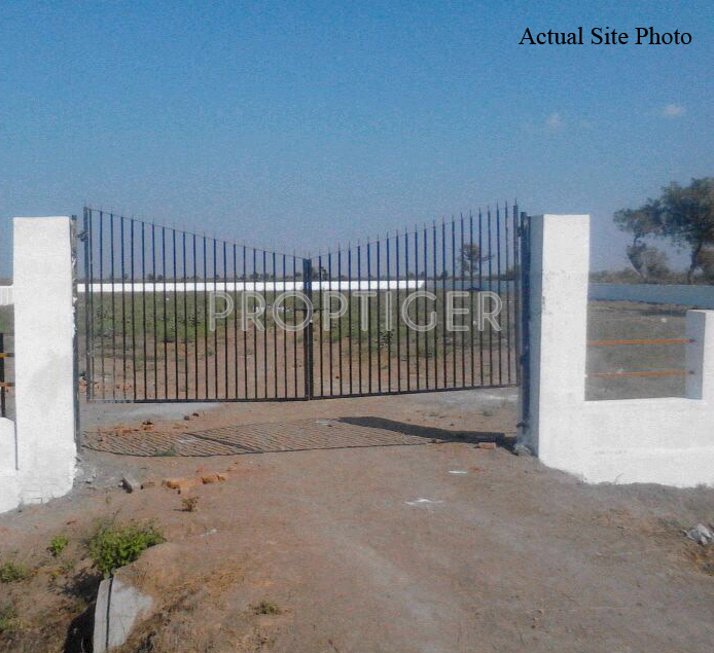 Images for Main Other of Honey Honey Land