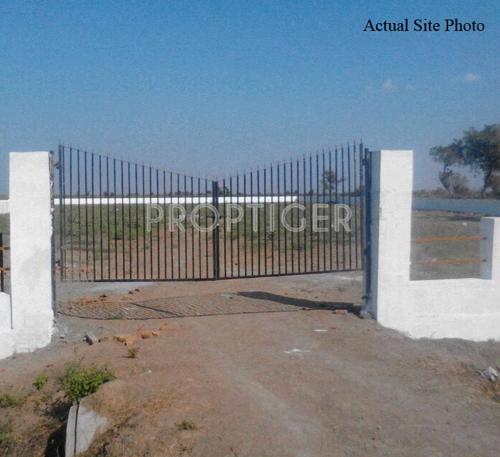 Images for Main Other of Honey Honey Land Images for Main Other of Honey Honey Land