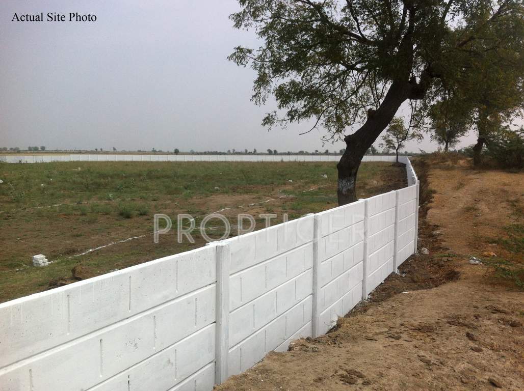 Images for Main Other of Honey Honey Land