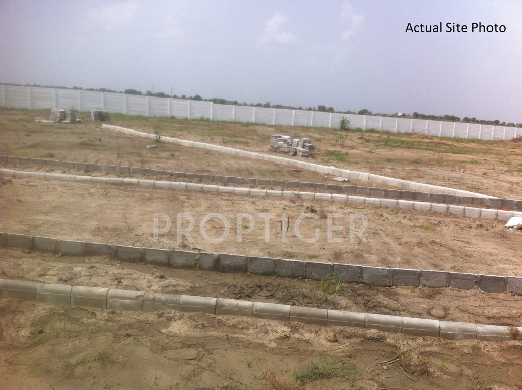 Images for Main Other of Honey Honey Land