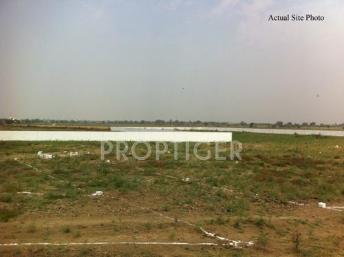 Images for Main Other of Honey Honey Land Images for Main Other of Honey Honey Land