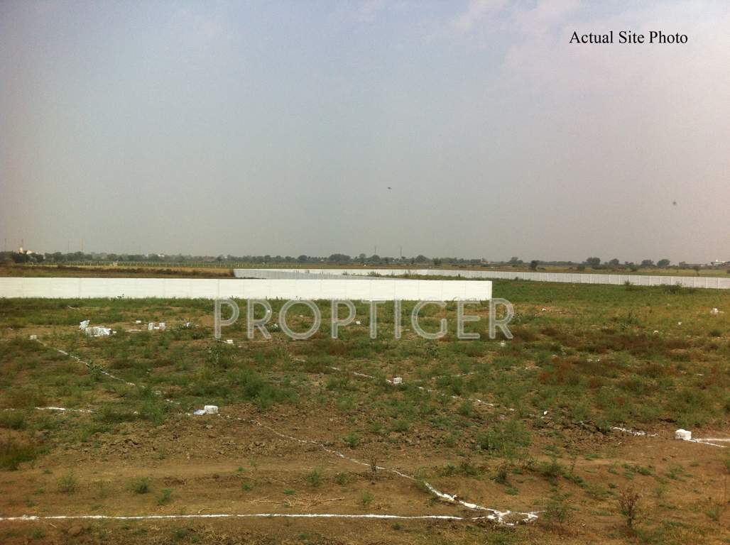 Images for Main Other of Honey Honey Land