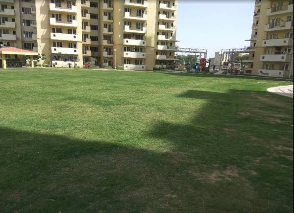 amenities of Corona Optus