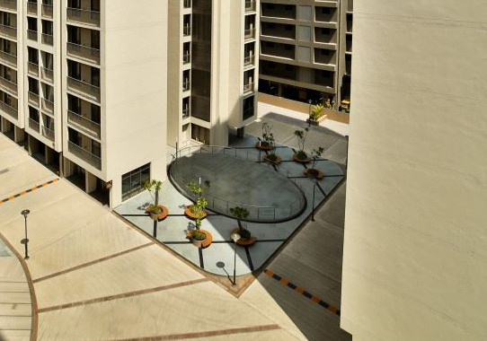 orchid elegance Skating Rink