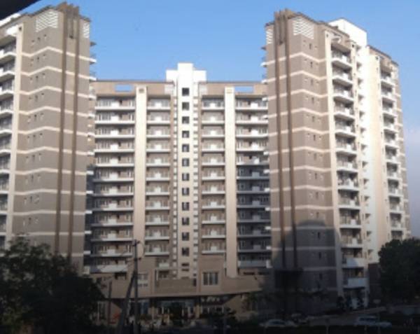 Elevation gracieux Elevation