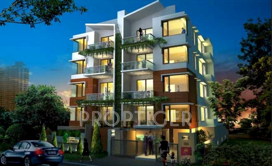 Images for Elevation of Crown Cypress