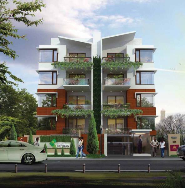 Images for Elevation of Crown Cypress