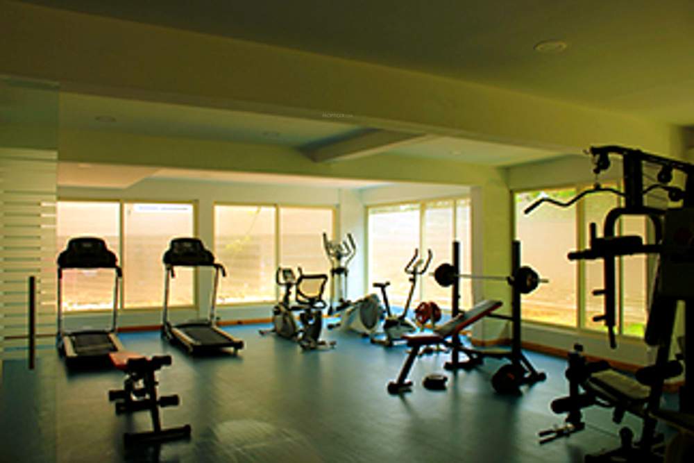  maple Images for Amenities of Surbacon Surbacon Maple