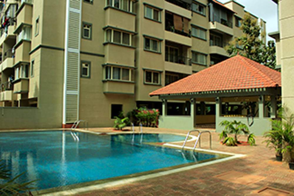  maple Images for Amenities of Surbacon Surbacon Maple