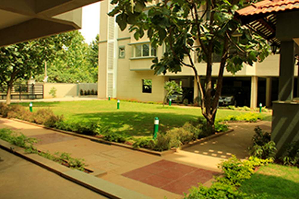  maple Images for Amenities of Surbacon Surbacon Maple