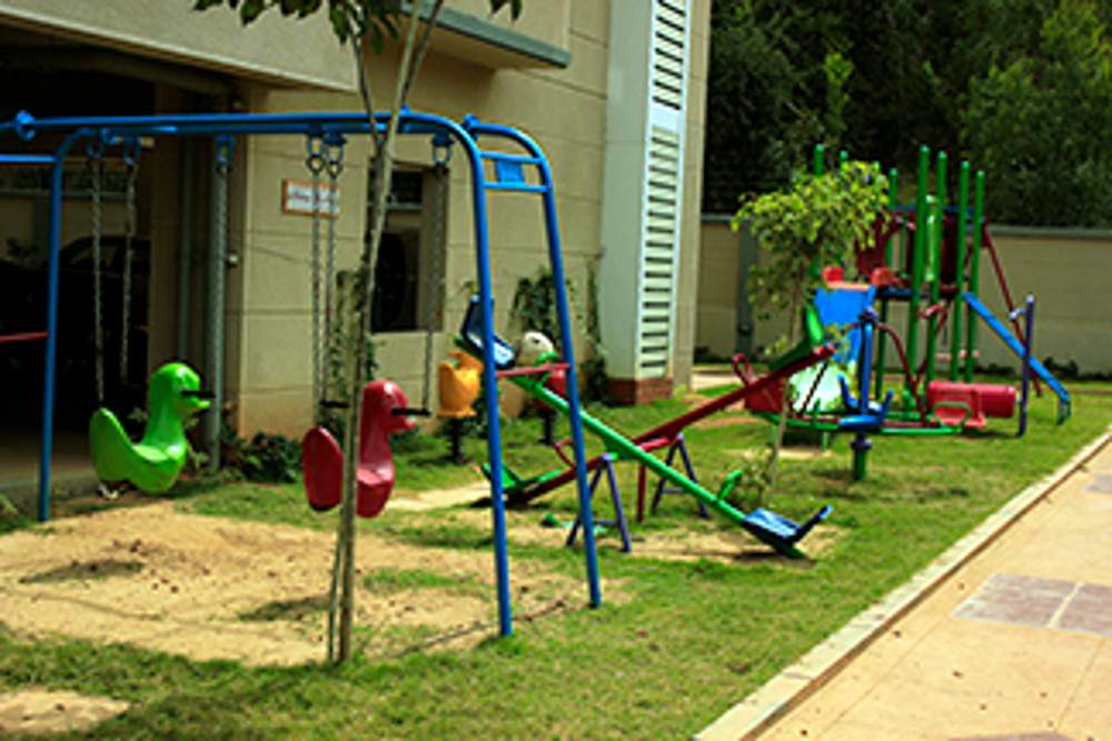  maple Images for Amenities of Surbacon Surbacon Maple