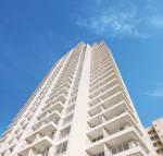 Elevation infinity Elevation