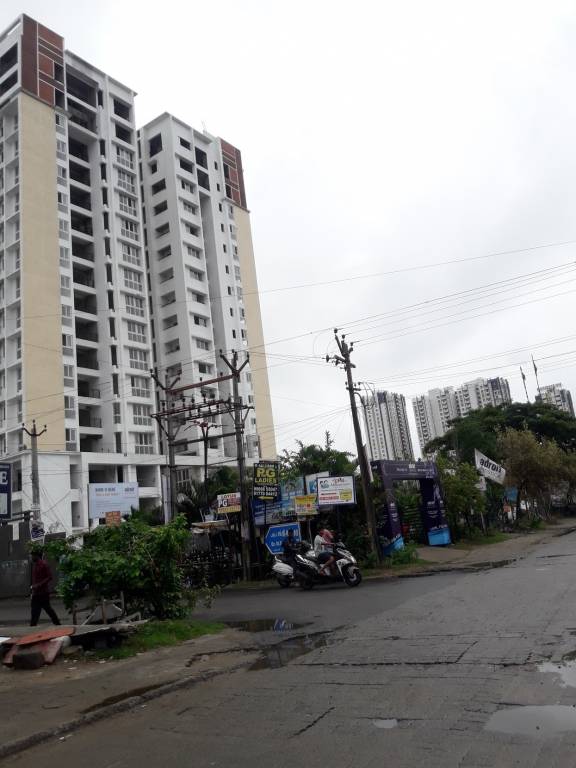  artistica Images for Project