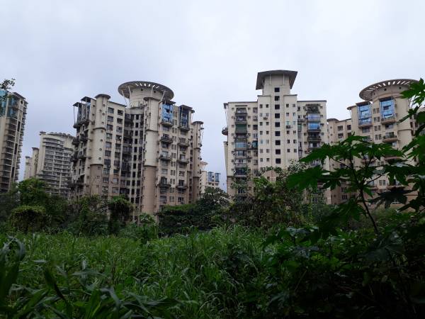  camellia-apartment Elevation