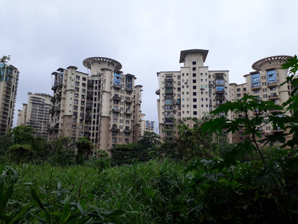  camellia apartment Elevation