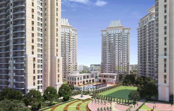  kocoon Images for Project