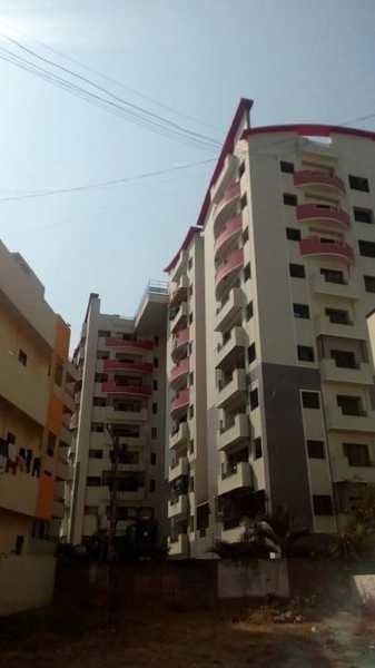  la gardenia Elevation