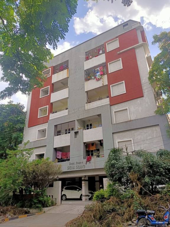  siena grand Elevation