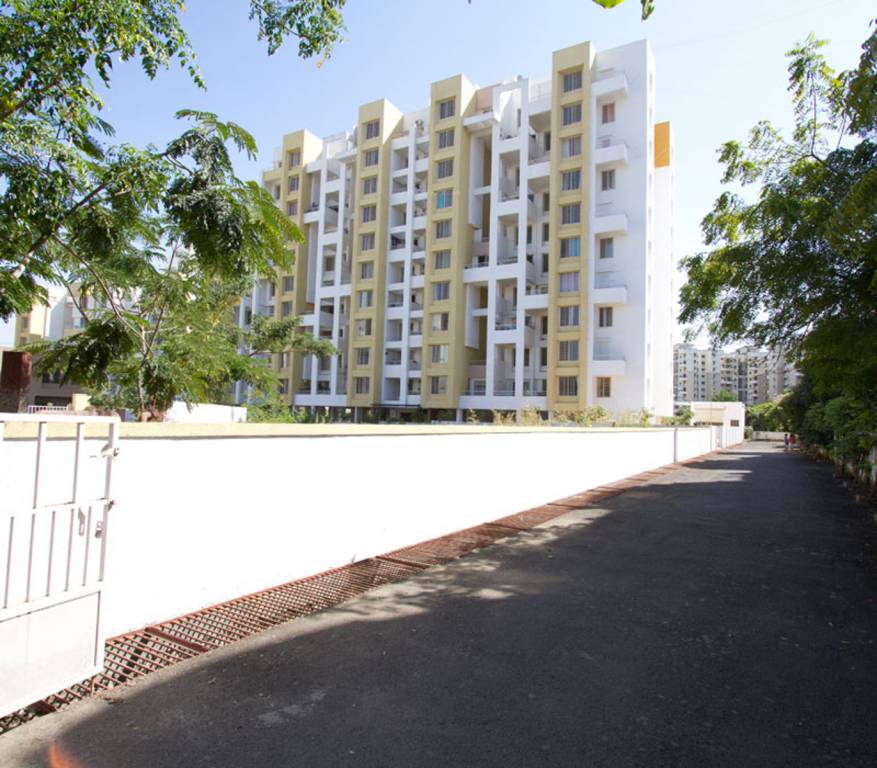 viva phase ii Elevation