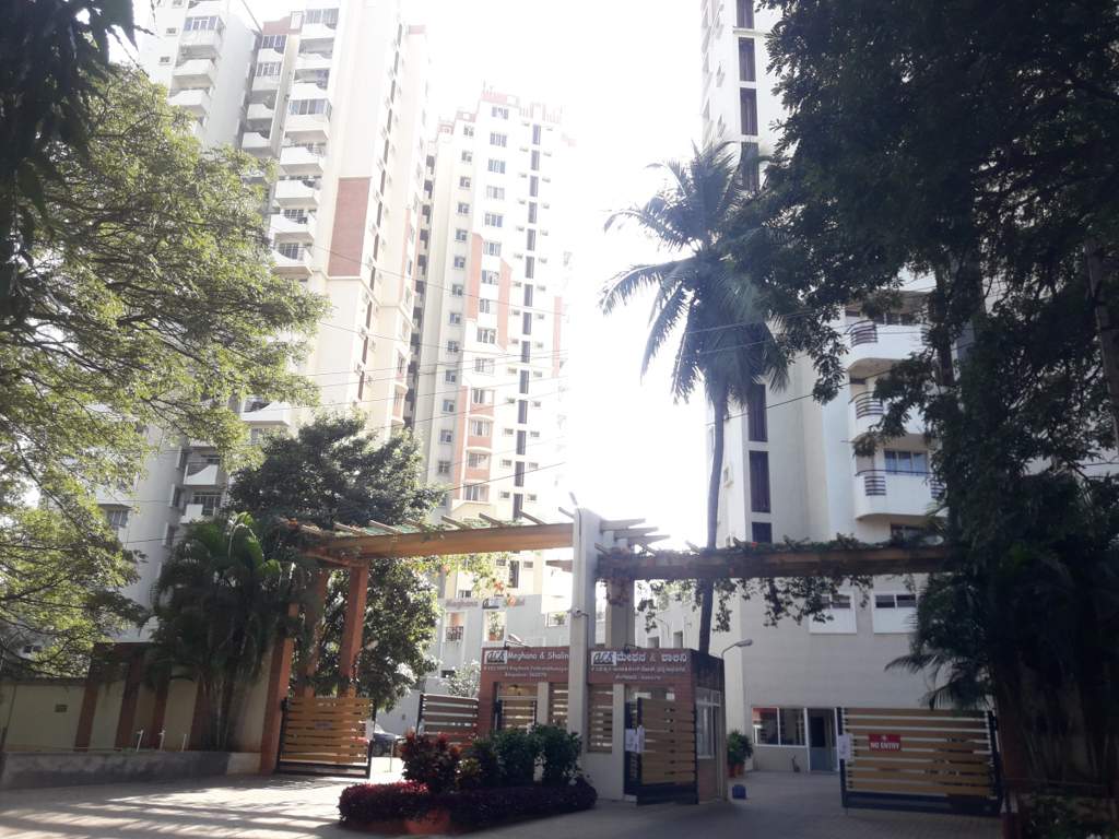 acs meghana and shalini towers Elevation