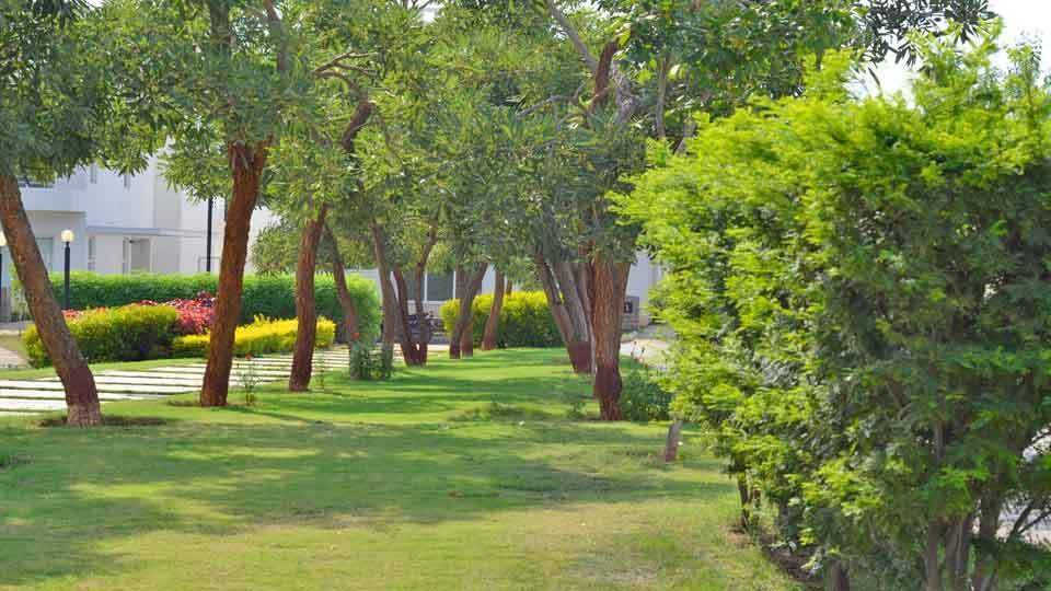 Images for Amenities of Koncept Ambience Anthem Vistas