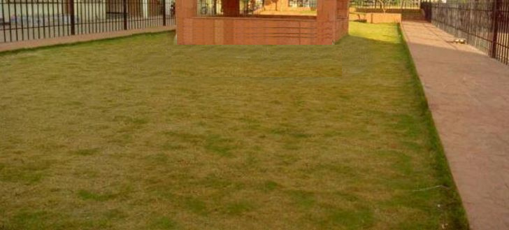  sankul Landscaped Gardens