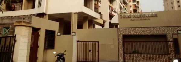  metro-tulsi-mangal Others