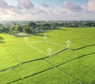  green-fields Elevation