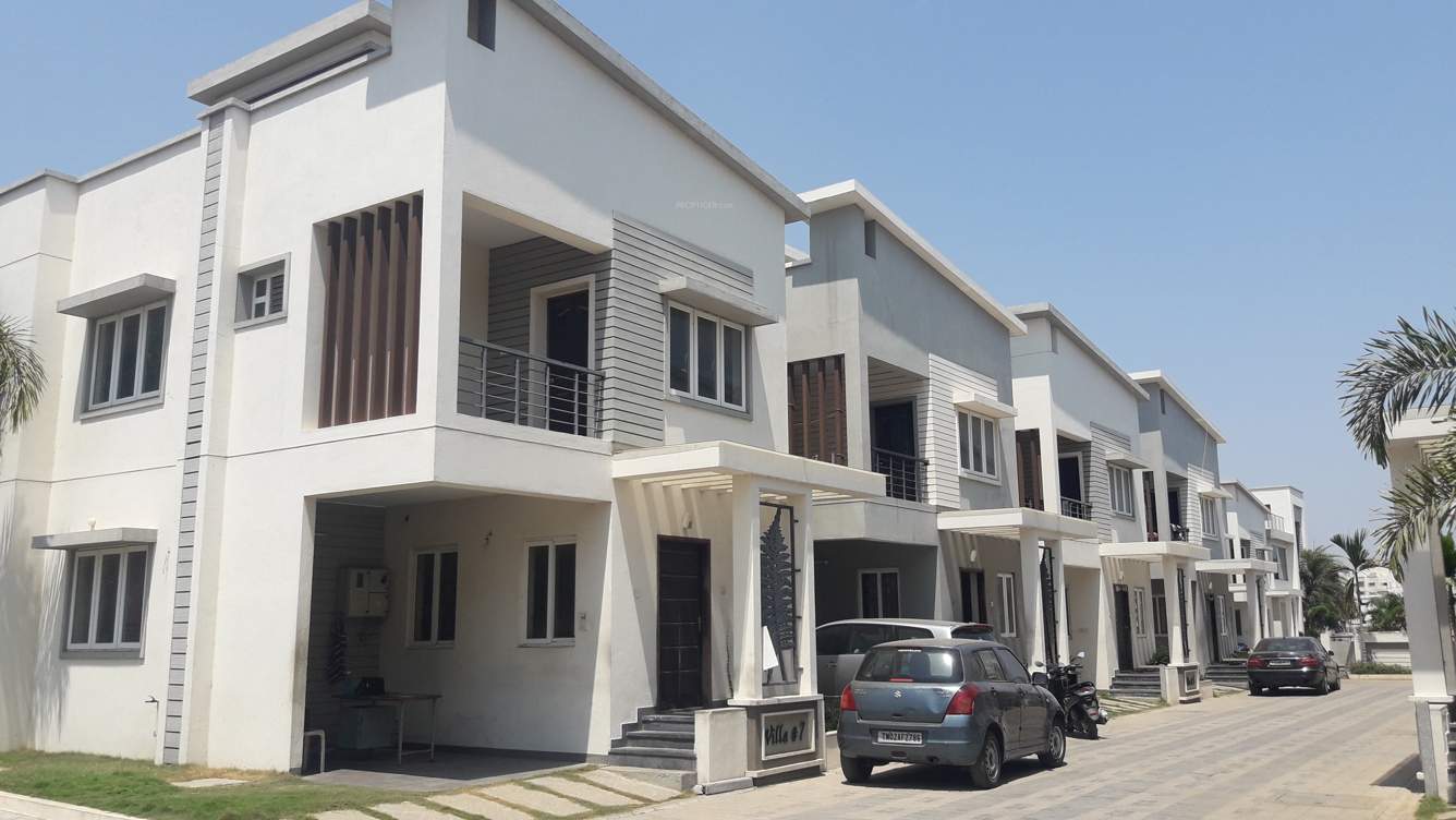  palm fronds Images for Elevation of Navin Palm Fronds