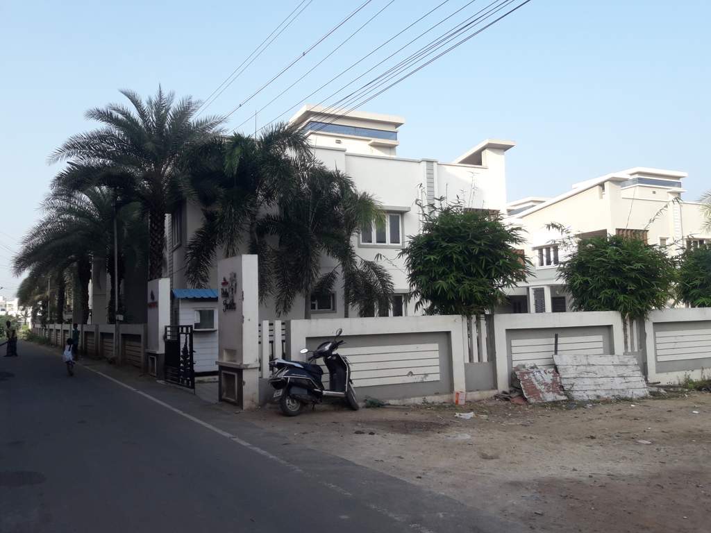  palm fronds Images for Elevation of Navin Palm Fronds