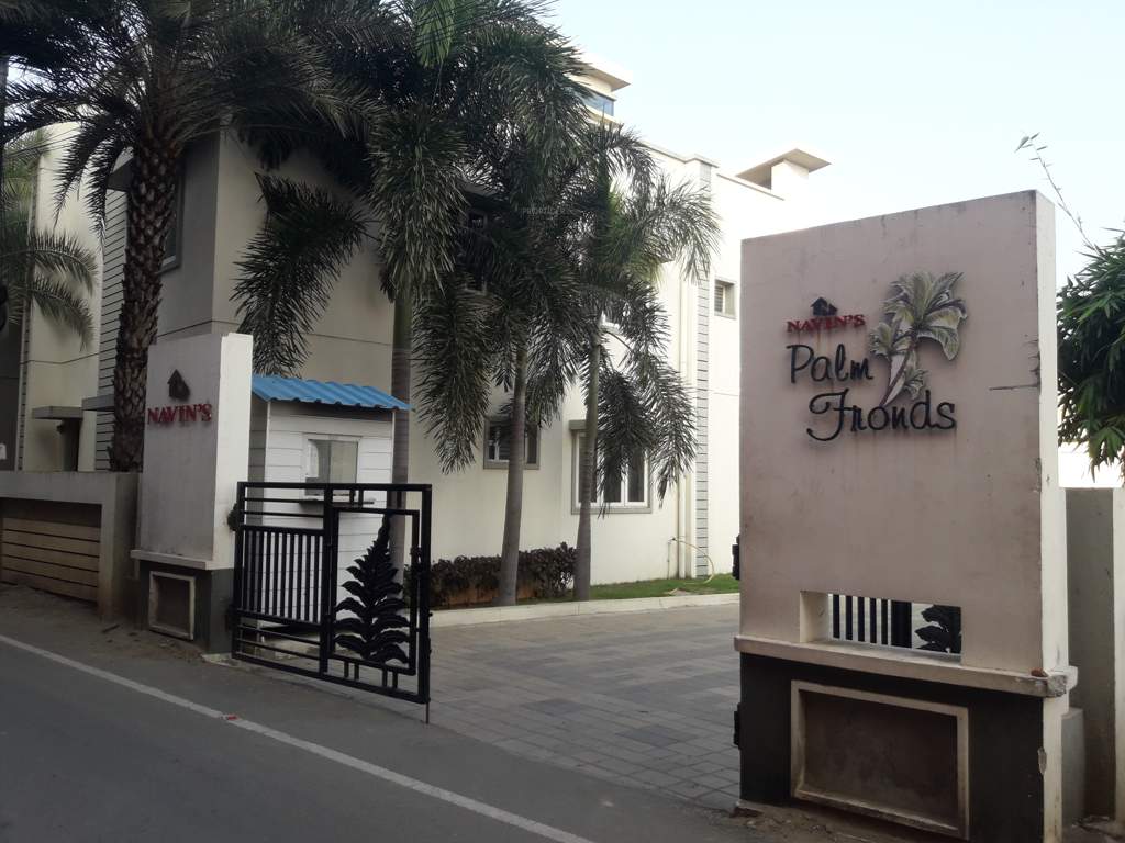  palm fronds Images for Elevation of Navin Palm Fronds