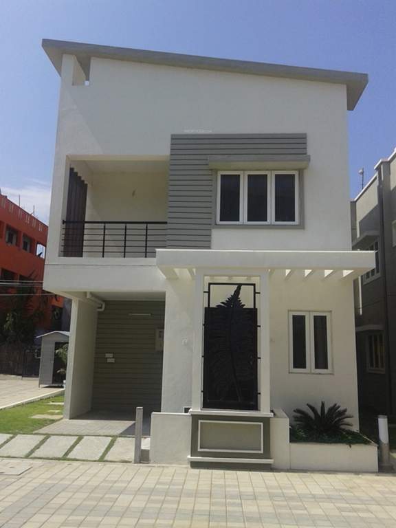  palm fronds Images for Elevation of Navin Palm Fronds