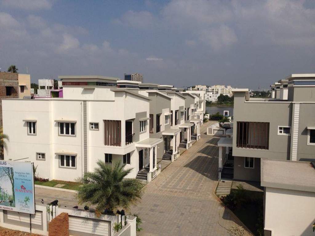  palm fronds Images for Elevation of Navin Palm Fronds