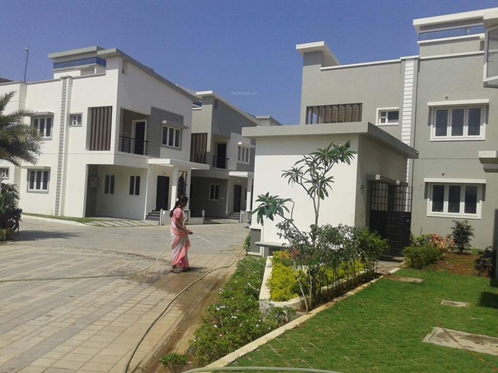  palm fronds Images for Elevation of Navin Palm Fronds