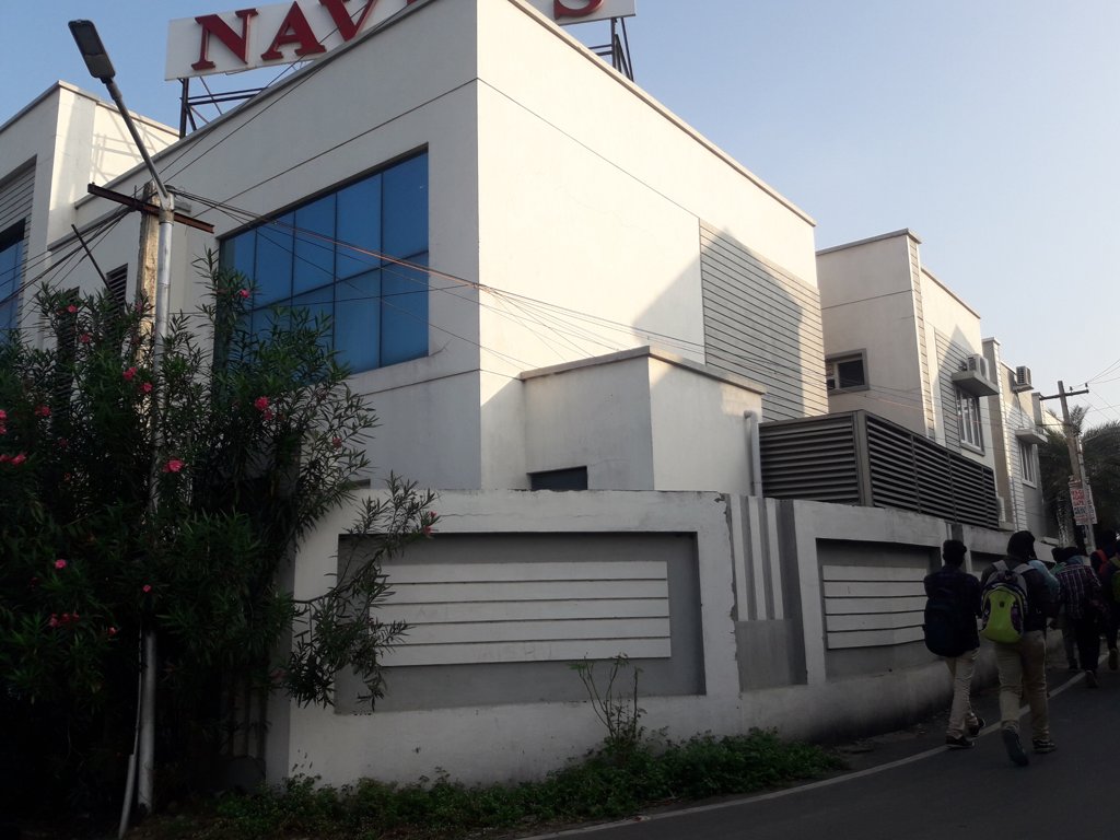  palm fronds Images for Project