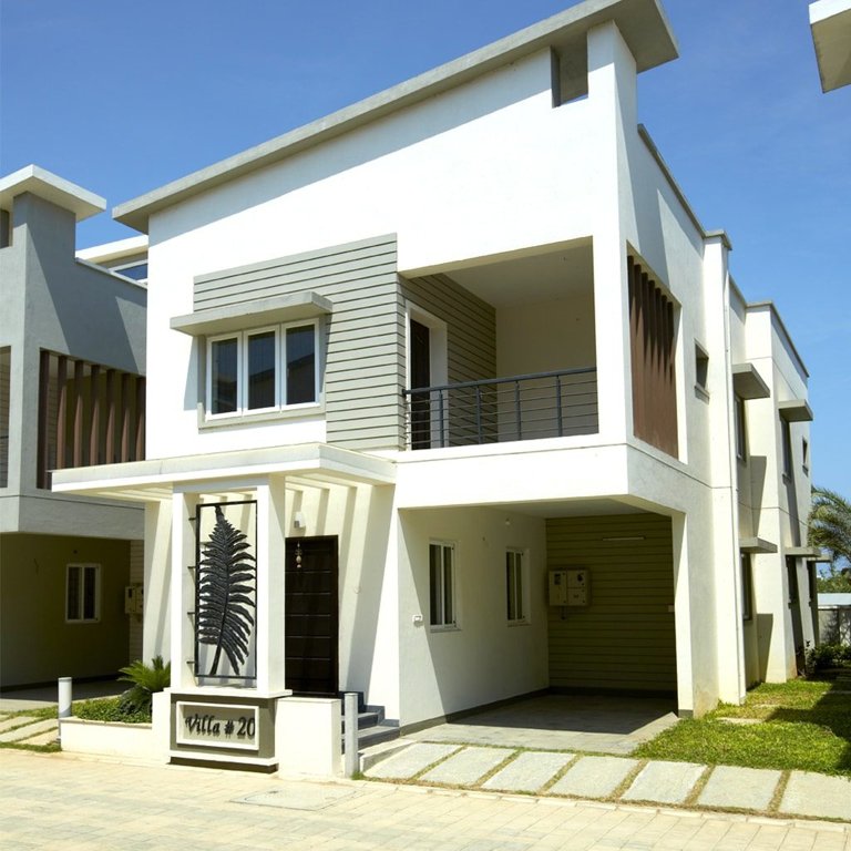  palm fronds Images for Project