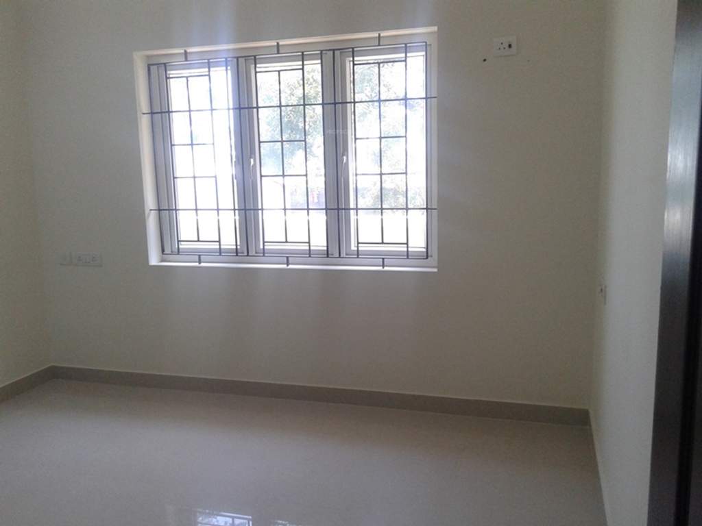  palm fronds Images for Main Other of Navin Palm Fronds