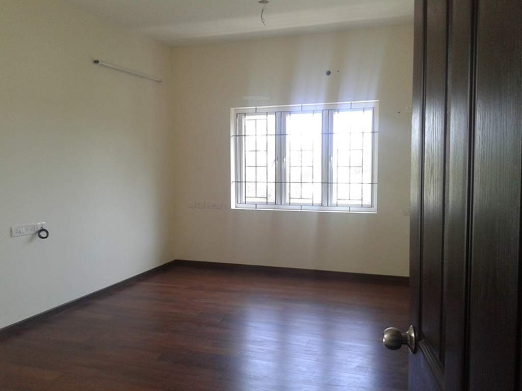  palm fronds Images for Main Other of Navin Palm Fronds