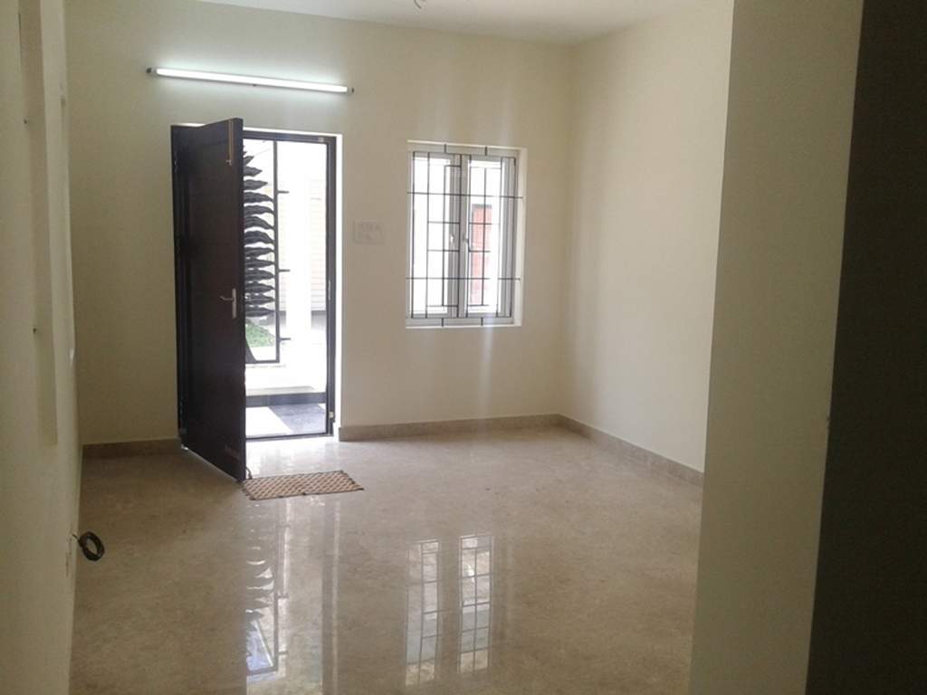  palm fronds Images for Main Other of Navin Palm Fronds