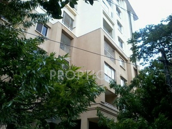 Images for Elevation of Ashoka Developers And Builders Ashok Heights