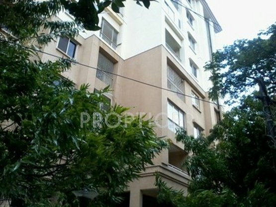 Images for Elevation of Ashoka Developers And Builders Ashok Heights