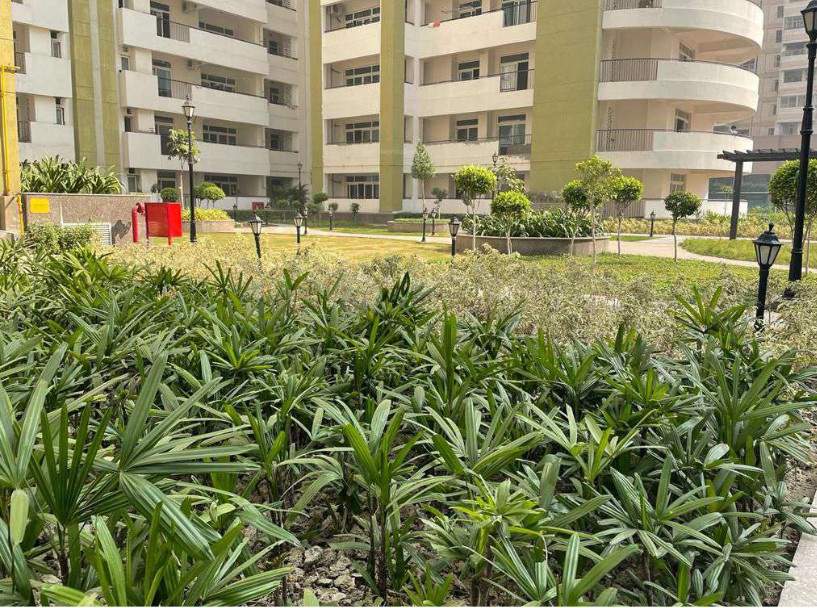  parx laureate Others