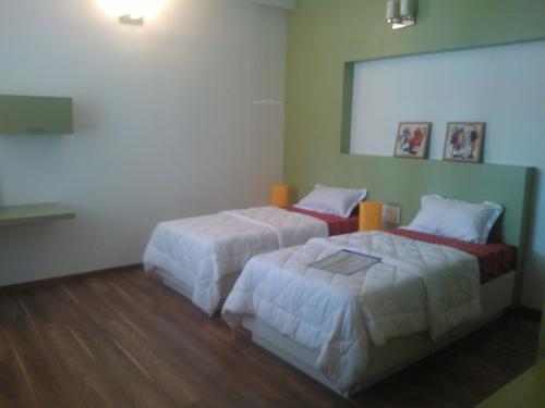 Images for Main Other of Saket Callipolis callipolis Images for Main Other of Saket Callipolis