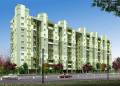 Divya Shakti Group Shree Shakthi