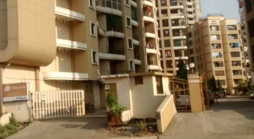  white lotus Elevation