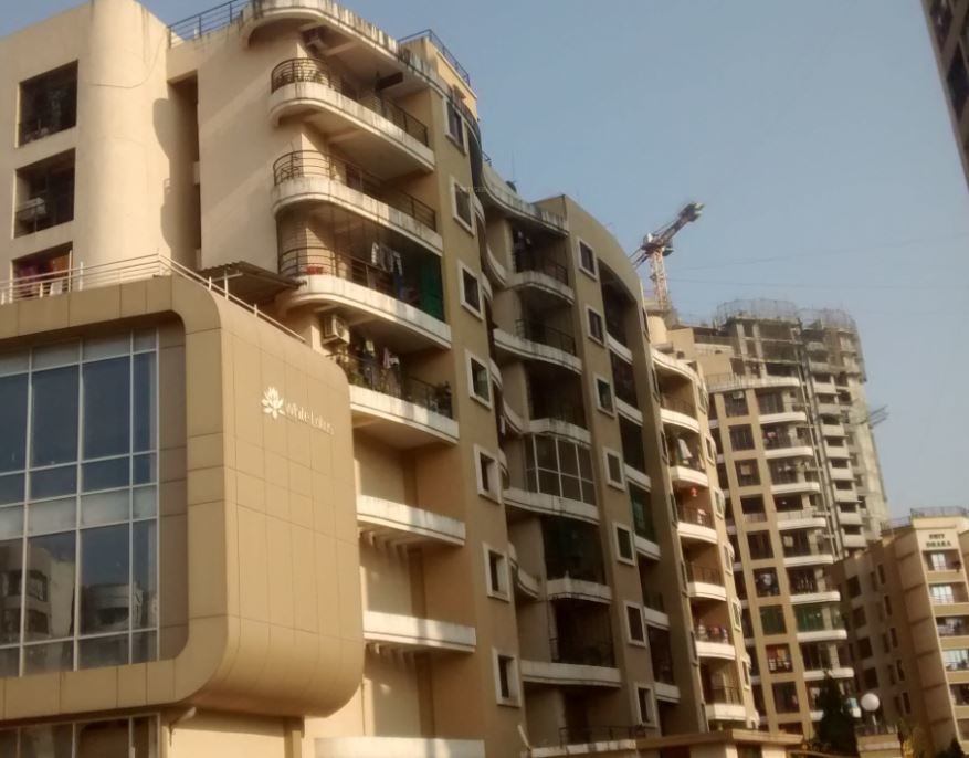  white lotus Elevation