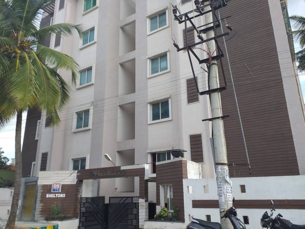  dsmax sheltons Elevation