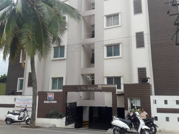  dsmax-sheltons Images for Project