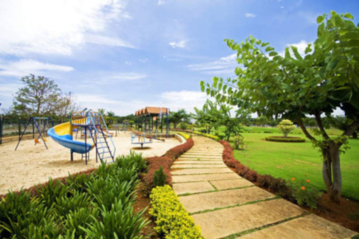  tulips garden Children's play area